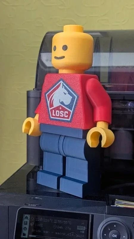 LOSC 3D brick figurine (20cm) - The Dogue you were missing! – photo 2